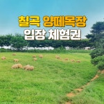 칠곡양떼목장 입장권 : 여행 대장
