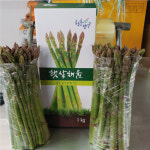 강원도 양구 생 아스파라거스 500g 1kg 당일수확 혼합발송 : 펀치볼숙이네농장