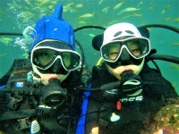 제주도 함덕 공항근처 스쿠버다이빙 스킨스쿠버 : 언더워터플레이