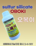 오복이 500ml 유황규산 식물영양제 탄저병 무름병 흰가루병 약 코시팜스 : 파밍스토리