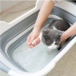 강아지 고양이 반려견 애견 애완견 접이식 욕조 목욕탕 펫욕조 : 글로비스에스