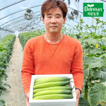 [직접생산 당일수확 직송]양주 바른농원 백다다기 오이 10개입 / 20개입 / 50개입 : 양주 바른농원