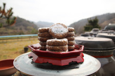 참살이 안골 생청국장 200g x 5개입 1kg 100% 국내산 메주콩 저염 진안고원 : 진안고원몰