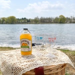 라탄 피크닉 바구니 감성캠핑 소풍 소품 데이지 소형 : 쏙쏙마켓