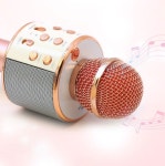 블루투스마이크 충전용 캠핑용 휴대용 마이크 가정노래연습장 선물 고음질 스마트폰마이크 : 비앤채