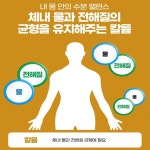 내츄럴플러스 전해질 밸런스 칼륨 : 코리아 건강식품