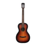 헥스 어쿠스틱 통기타 P300SB 탑솔리드 팔러바디 입문 연습용 고급구성품세트 : 프렌즈뮤직