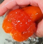 민소희 : 아쿠아 플랜트