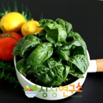 스마트팜 생바질 스위트바질 바질페스토 : 싱싱 연구소