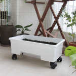 플라팜 오가닉 클래식 베란다 텃밭화분 대형화분 플라스틱화분 베란다텃밭 상추키우기 : 화담 가드닝