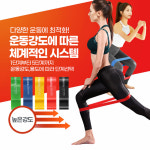 하체근력운동 홈트 스트레칭 요가 헬스 루프밴드 5종세트 : 해앤들