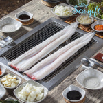 국산 손질 냉동 풍천 민물장어 1kg (손질 후 600g) 장어 구이 : 씨기프트
