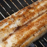 국산 고창 풍천 민물 자포니카 장어 캠핑 음식 구이 즙 손질 택배 세척 선물세트 요리 : 에브리씽픽