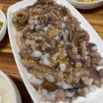 목포 보리마당 생뻘낙지 : 보리마당농수산