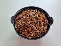 국산 남해안 보리새우 220g 육수용 건새우 삼천포 노가네 건어물 : 삼천포노가네건어물