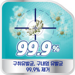 폴리덴트 나이트 의치세정제 36정x6박스+(교정기세척/유지장치세척/치아교정세척/교정유지장치 케이스 증정) : 폴리덴트