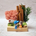 스칸디아모스 화분 DIY 키트 천연이끼 공기정화식물 편백나무 습기제거 옥수수소녀 65 : 숲속나무향기