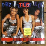 [미개봉 미국 초판 R&B 명반 LP] TLC ( 티엘씨 ) – Diggin On You [총 8곡 수록] : KoreanVinyl