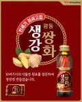 광동 제약 생강쌍화 120ml x 100병 감기예방 건강차 부모님선물 : 마사라마트