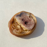 [완판/재입고]멍멍하누 두-툼 한우 우족 100g 강아지 수제 간식 근적외선 저온건조 : 멍멍하누