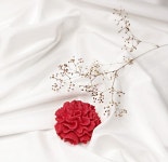 카네이션 석고방향제 어버이날 스승의날 선물 : 레이니 영