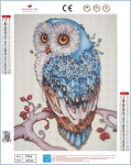 보석자수나라 보석 십자수 비즈 큐빅 구슬 행운의 부엉이 30x40cm : 보석자수나라