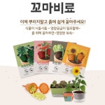 모든 식물용 꼬마비료 영양공급 비료 영양제 열매 관엽 엽채 식물 : 서나샵