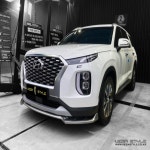 오토모듬 베가스타일 팰리세이드 튜닝 프론트립 에어로파츠 도색 수전사카본 : 오토 모듬