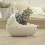 앞가방 및 백팩 숨숨집 하우스 겸용 에그쉘 고양이 크레이트 애견 강아지 이동장 켄넬 : 코코도도