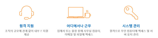 Radmin 3 Standard 기업용 (50 User Licence) / 알어드민 3 / 50유저 : 소프트이즈