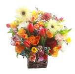 [VIP플라워] 꽃다발당일배송 전국꽃배달 케이크꽃배달 용인꽃집 전주꽃집 H-045 : VIP플라워