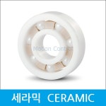 세라믹 베어링 1204 CERAMIC 절연성 내열성 내화학성 반도체 LCD 진공 화학장비 : 베어링웍스