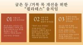 진필라테스 굽은 등 / 거북 목 개선을 위한 필라테스 : 진필라테스