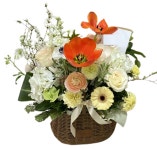 [VIP플라워] 부산꽃배달 부경대꽃집 대연동꽃집 전국꽃배달 장미꽃바구니 H-055 : VIP플라워