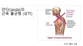 진필라테스 굽은 등 / 거북 목 개선을 위한 필라테스 : 진필라테스