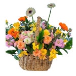 [VIP플라워] 용인꽃집 서울꽃배달 칠순꽃바구니 생화코사지 꽃배달서비스 H-081 : VIP플라워