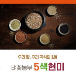 벼꽃농부 오색현미 500g＊21봉 : 공영쇼핑