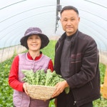 포천 싱싱팜 연한 어린 열무 4kg : 포천 싱싱팜