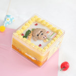 강아지생일 반려동물 수제 케이크 큐브케이크 : 블랭크인-삼산점