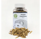 쥬웜 푸디웜 36g : 펫뱅크