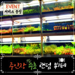 [미초] 주인장 맘대로 수초 뷔페 [약 18촉] (+서비스 증정) : 미초