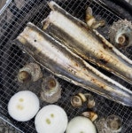 통영 자연산 프리미엄 바다 장어 1kg 활 붕장어 아나고 캠핑 장어구이 장어양념 : 씨씨통영