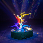 제주 아트서커스 +조안베어뮤지엄 +낙타트래킹 +족욕체험 / 제주 여행 공연 이색체험 관광지 : WEPICK