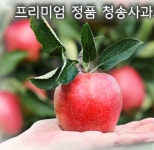 청송군 산지직송 선물용 청송 사과 과일 농장 주문 : 산책길 스토어