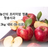 청송군 산지직송 선물용 청송 사과 과일 농장 주문 : 산책길 스토어