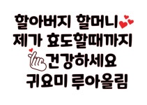 주문제작 스티커, 효도할때까지, 의류스티커 : 대박나라s