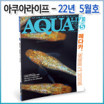 아쿠아라이프 2022년 05월호 : 꼬기방스토어
