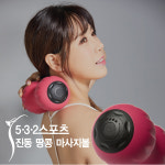 532스포츠 진동 땅콩 마사지볼 HI-M3100(핑크) 마사지기 부위별 운동기구 : 이엔에프샵