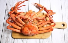 [대진수산] 울진 후포리 박달홍게 (소) / 마리당 400g 이내/1.8G~4KG/ 5마리,10마리 : 대진수산