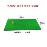 골프 매트 바닥 인조 잔디 타석 개인 드라이버 스윙 연습 연습장 : 원더블루
